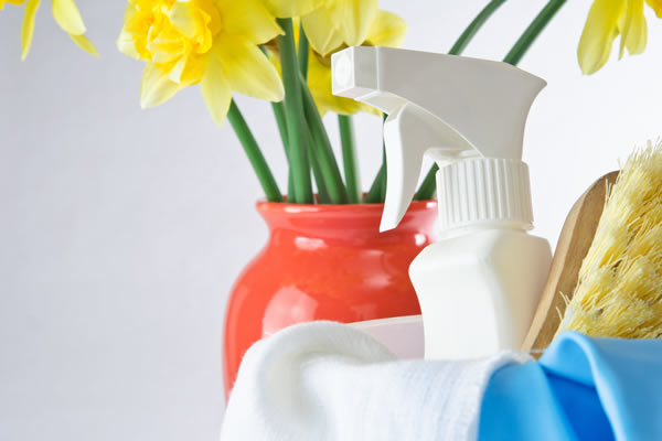Mess Masters cleans your home using our hand-mixed non-toxic, earth friendly cleaning products. No toxins or harmful fumes, means a clean and safe environment for you and your loved ones